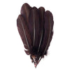 Turkey Quill with Cut Top Selected Pairs 2pc