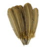 Turkey Quill with Cut Top Selected Pairs 2pc