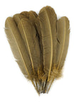 Turkey Quill with Cut Top Selected Wing 1pc