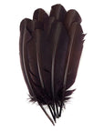 Turkey Quill with Cut Top Selected Wing 1pc