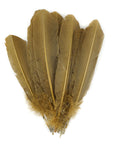 Turkey Quill with Cut Top Selected Wing 1pc