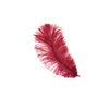 Medium Ostrich Drab Feather 1 pc