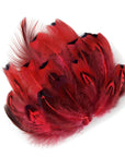 Ringneck Pheasant Heart Plumage Loose 1/4oz