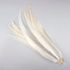 Pheasant Silver Tail Selected 1 pc