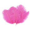 Ostrich Drab Feather Small 1 pc