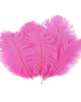 Small Ostrich Feather Drab 1 pc