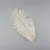 Medium Ostrich Drab Feather 1 pc