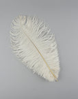 Medium Ostrich Drab Feather 1 pc