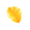 Medium Ostrich Drab Feather 1 pc