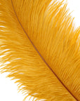 Large Ostrich Drab Feather 1 pc