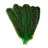 Turkey Quills Barred Selected Pairs 2pc