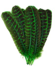 Barred Turkey Quills Selected Wing 1pc