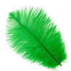 Ostrich Drab Feather Medium 1 pc