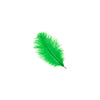 Ostrich Drab Feather Small 1 pc
