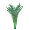 Peacock Sword Bleached 1pc