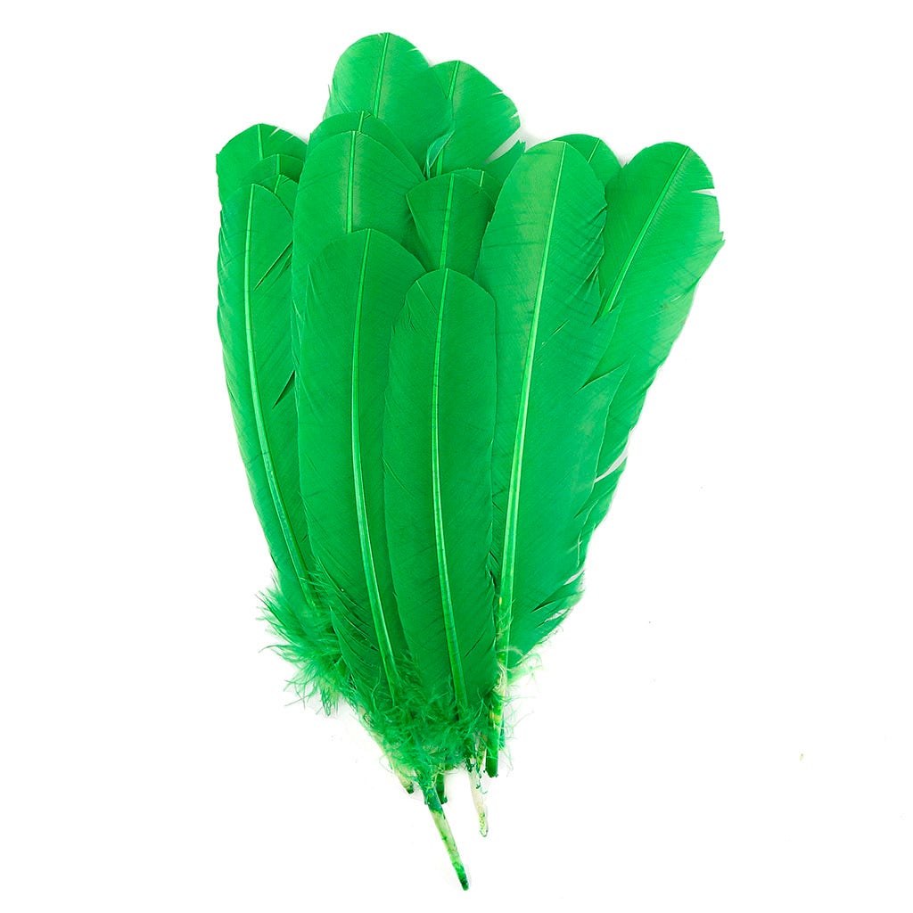 Turkey Quill with Cut Top Selected Wing 1pc