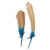 Turkey Quills Dipped Ombre 2 pc