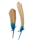 Turkey Quills Dipped Ombre 2 pc