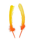 Turkey Quills Dipped Ombre 2 pc