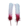 Turkey Quills Dipped Ombre 2 pc