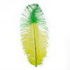 Tipped Ostrich Feather 1 pc