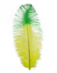 Tipped Ostrich Feather 1 pc