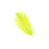 Ostrich Drab Feather Medium 1 pc