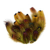 Ringneck Pheasant Heart Plumage Loose 1/4oz