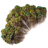 Natural Gold Peacock Plumage 20-25pc