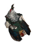 Lady Amherst Pheasant Pelt Selected First Quality (Full)