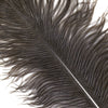 Large Ostrich Drab Feather 1 pc