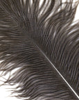 Large Ostrich Drab Feather 1 pc