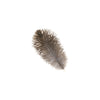 Ostrich Drab Feather Medium 1 pc