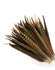 Pheasant Tails Assorted Selected 2pc