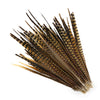 Pheasant Tails Assorted Selected 2pc