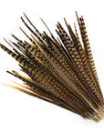 Pheasant Tails Assorted Selected 2pc