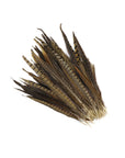 Pheasant Tails Assorted Selected 2pc