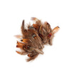 Ringneck Pheasant Plumage Mix Loose 1/8oz