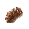 Pheasant Almond Ringneck Plumage Loose 1/8 oz