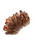 Almond Ringneck Pheasant Plumage Loose 1/8 oz