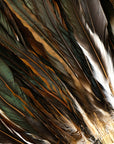 Rooster Coque Tails Natural Black Iridescent Strung  6 inch strip