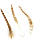 Rooster Hackle Natural Red Striped Loose 1/4oz