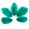 Small Ostrich Feather Drab 1 pc