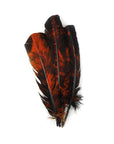 Turkey Quills Tie Dyed 6 pc