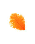 Medium Ostrich Drab Feather 1 pc