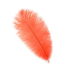 Ostrich Drab Feather Medium 1 pc