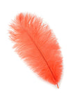 Medium Ostrich Drab Feather 1 pc