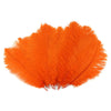 Large Ostrich Drab Feather 1 pc