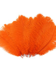 Large Ostrich Drab Feather 1 pc