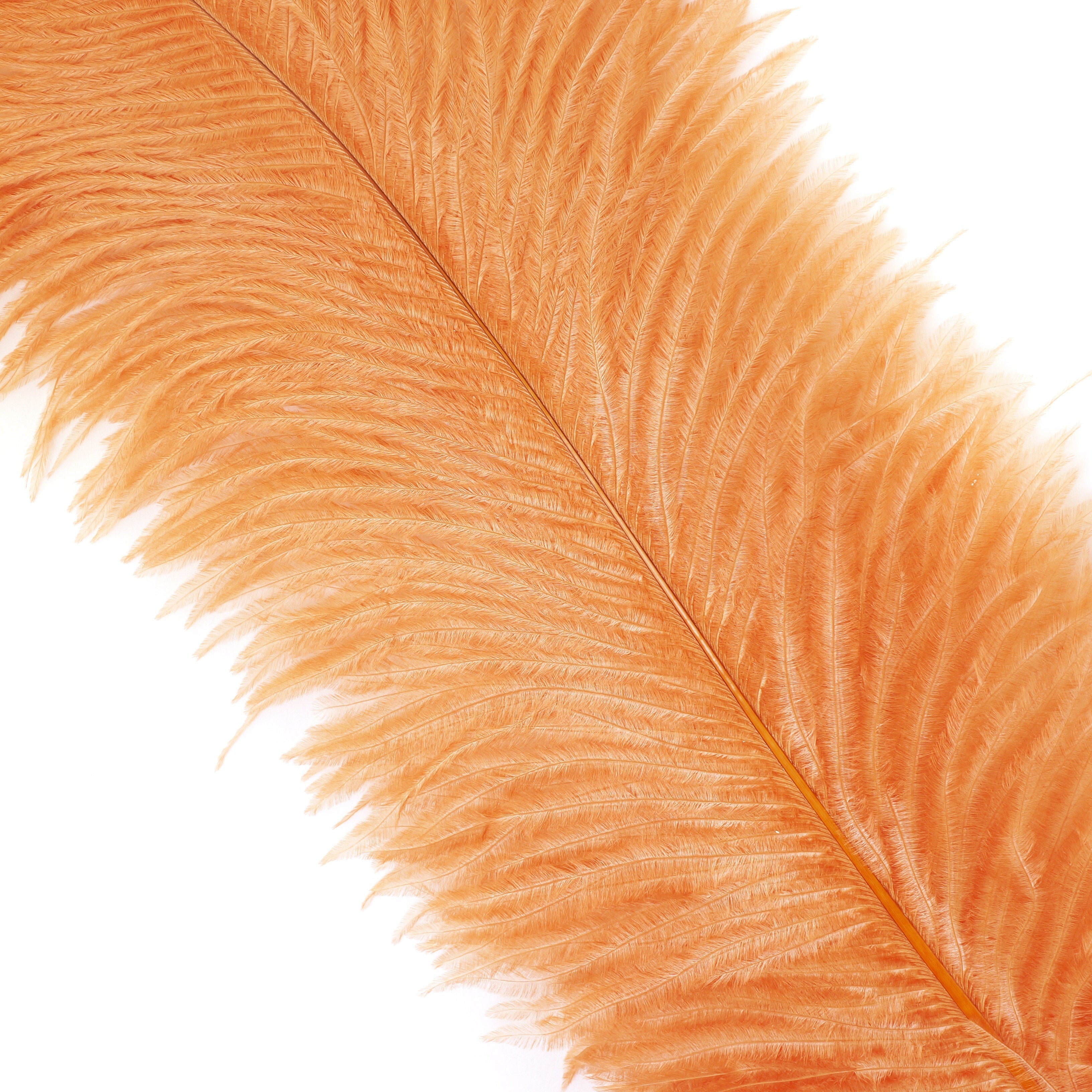 flowerlower320design Brown Feather Feather Flower of Genuine Pheasant Feathers Use as Cake
